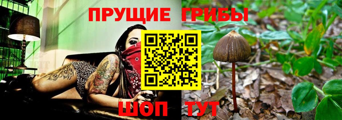 Донецк  Галлюциногенные грибы мухоморы  Вход с VPN 