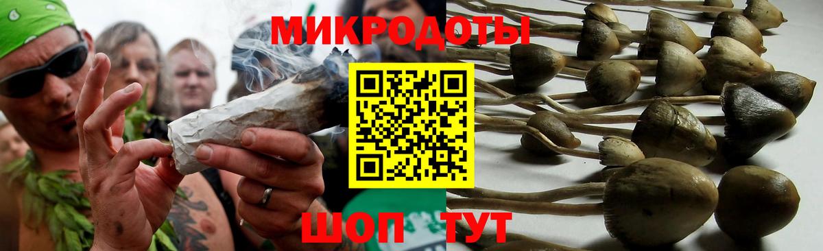 Галлюциногенные грибы Psilocybine cubensis Донецк